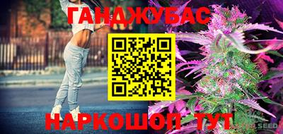 гидропоника Кунгур