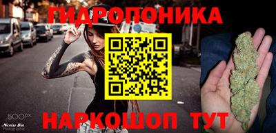 сатива Кулебаки