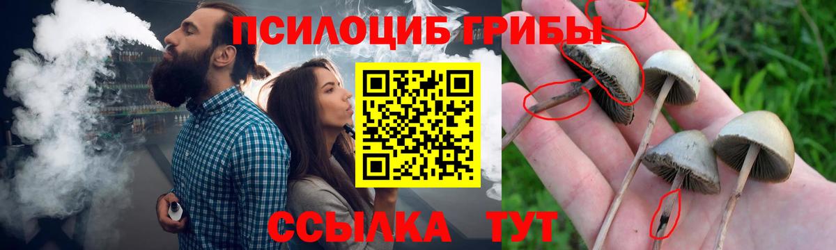 где можно купить наркотик  Галлюциногенные грибы мицелий  Елец  Вход с VPN  Галлюциногенные грибы прущие грибы 